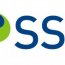 SSE electricity and gas